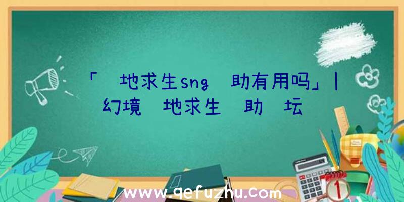 「绝地求生sng辅助有用吗」|幻境绝地求生辅助论坛